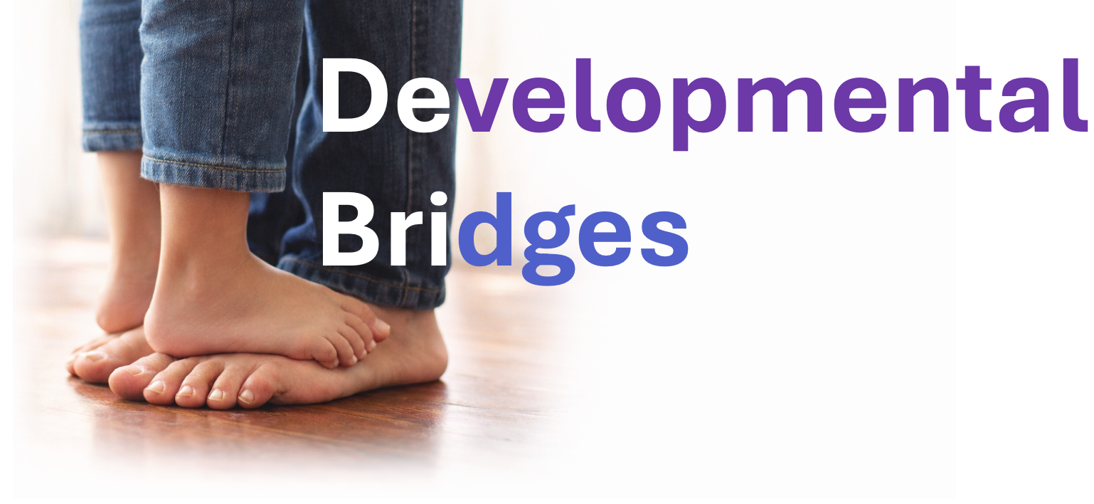 Developmental Bridges